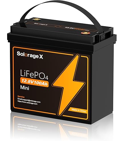 Amazon.com: 12V 100Ah Mini LiFePO4 Lithium Battery 100A BMS 6000+